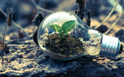 We can’t bury our heads in the sand – the environment matters