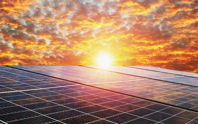 Sunny Horizons and the Global Waves of Emerging Solar Technologies